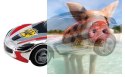 Whistling Car - 375cm, 3 pętle, most
