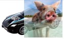 Whistling Car - 375cm, 3 pętle, most