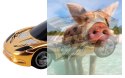 Whistling Car - 375cm, 3 pętle, most