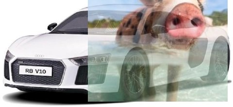 Audi R8 2015 1:14 RTR (zasilanie na baterie AA) - biały Audi R8 2015 1:14 RTR (zasilanie na baterie AA) - biały