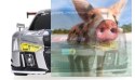 Audi R8 LMS 1:18 RTR (zasilanie na baterie AA) - srebrny