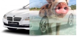 BMW 6 RASTAR 1:14 (zasilanie na baterie AA) - Biały