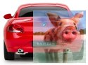BMW Z4 1:24 RTR (zasilanie na baterie AA) - Czerwony