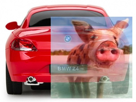 BMW Z4 1:24 RTR (zasilanie na baterie AA) - Czerwony BMW Z4 1:24 RTR (zasilanie na baterie AA) - Czerwony
