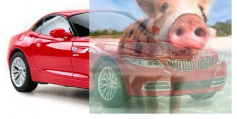 BMW Z4 1:24 RTR (zasilanie na baterie AA) - Czerwony BMW Z4 1:24 RTR (zasilanie na baterie AA) - Czerwony