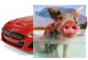BMW Z4 G29 1:24 RTR (zasilanie na baterie AA) - czerwony