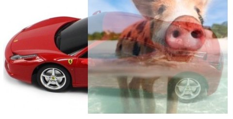 FERRARI 458 Italia 1:18 RTR (zasilanie na baterie AA) - Czerwony FERRARI 458 Italia 1:18 RTR (zasilanie na baterie AA) - Czerwony