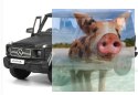 Mercedes-Benz G63 1:24 RTR (zasilanie na baterie AA) - czarny