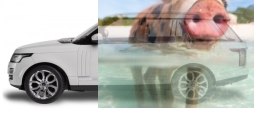 Range Rover Sport 2013 1:14 RTR (zasilanie na baterie AA) - Biały
