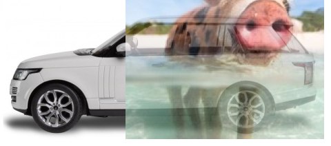 Range Rover Sport 2013 1:14 RTR (zasilanie na baterie AA) - Biały Range Rover Sport 2013 1:14 RTR (zasilanie na baterie AA) - Biały