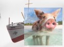 M/s BATORY Polski Statek Pasażersko-Drobnicowy