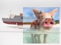 M/s BATORY Polski Statek Pasażersko-Drobnicowy