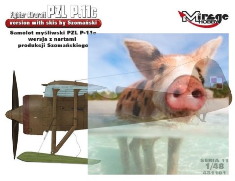 PZL P.11c wersja z nartami PZL P.11c wersja z nartami