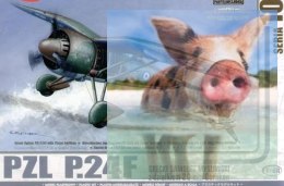 PZL P.24F Grecki Samolot Myśliwski