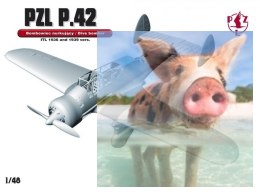 PZL P.42 Polski Lekki Bombowiec Nurkujący