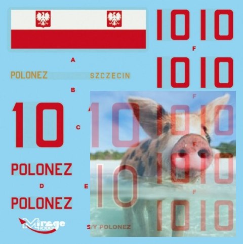 S/Y "POLONEZ" Polski JACHT S/Y "POLONEZ" Polski JACHT