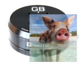 Silnik bezszczotkowy T-MOTOR GB54-2 do gimbali