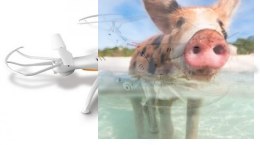 Syma X5SW Explorers 2 (kamera FPV WiFi 0.3MP, 2.4GHz, headless, zasięg 30m, 31.5cm) - Biały