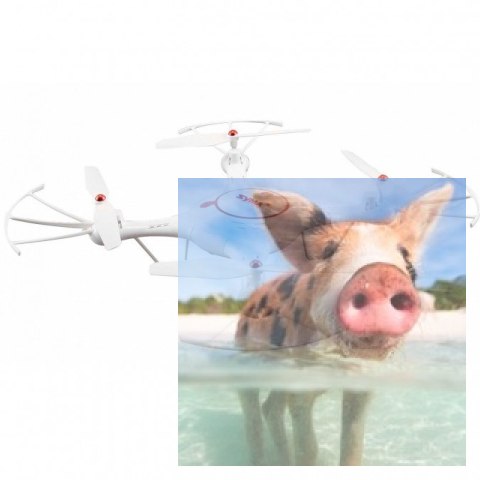 Syma X5UC (kamera 1MP, 2.4GHz, funkcja zawisu, planowanie trasy, zasięg do 70m) - Biały Syma X5UC (kamera 1MP, 2.4GHz, funkcja zawisu, planowanie trasy, zasięg do 70m) - Biały
