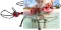 Syma X8HG (kamera HD 5MP, 2.4GHz, funkcja zawisu, zasięg do 100m, 50cm)