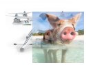 Walkera QR X350 PRO RTF5 (Devo 10, G-2D, kamera iLook, antena 5,8GHz, 2 akumulatory)