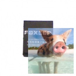 1000mAh 5V LiPo do Foxeer Legend 3