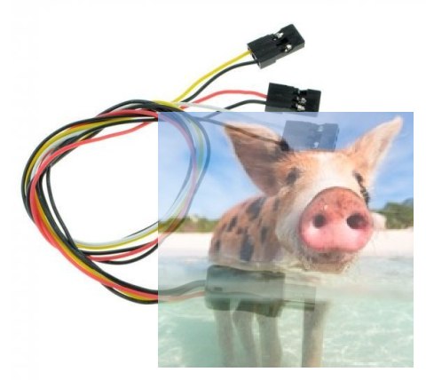 Kabel Serwo do kamery Foxeer Legend 1 Kabel Serwo do kamery Foxeer Legend 1