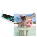 Rainbow Flying Wing II EPP Kit + Motor + ESC + Servo (rozpiętość 1000mm)