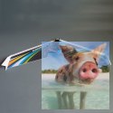 Rainbow Flying Wing II EPP Kit + Motor + ESC + Servo (rozpiętość 1000mm)