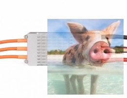 Regulator ESC ALPHA 180A do dron wyścigowych