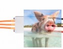 Regulator ESC ALPHA 40A LV 6S do dron wyścigowych