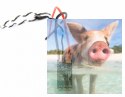 Regulator ESC F20A-4S 20A 2-4S do dron wyścigowych