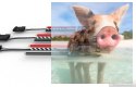 Regulator ESC F30A-6S 30A 2-6S do dron wyścigowych