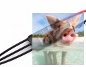 Regulator ESC FLAME 25A 4S do dron wyścigowych