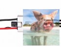 Regulator ESC FLAME 25A PRO 4S do dron wyścigowych