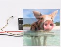 Regulator ESC FLAME 70A LV 4-6S do dron wyścigowych