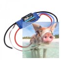 Regulator FLY 20A 2-4s