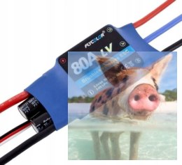 Regulator FLY 80A 2-6s