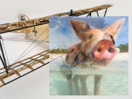 Samolot Albatross KIT