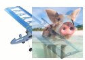 Samolot CUCKOO Balsa KIT (580mm) + Motor + ESC + 3x Serwo