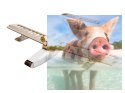 Samolot Seaplane Balsa KIT (1600mm) + Motor + ESC + 4x Serwo