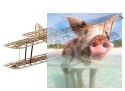Samolot Sopwith Camel v2 Balsa KIT (1520mm)