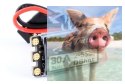 TATTU BLHeli_S 30A Esc (2-5S, w/Dshot, No BEC)