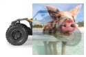 Axial Yeti Jr. Rock Racer 1:18 4WD RTR