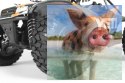 Axial Yeti Jr. Rock Racer 1:18 4WD RTR
