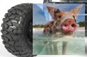 Axial Yeti Jr. Rock Racer 1:18 4WD RTR