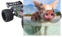 COBRA EBL 1:8 Buggy Brushless 60km/h 2.4GHz RTR - R0249