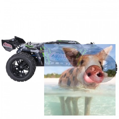 COBRA EBL 1:8 Buggy Brushless 60km/h 2.4GHz RTR - R0249 COBRA EBL 1:8 Buggy Brushless 60km/h 2.4GHz RTR - R0249