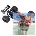 COBRA EBL 1:8 Buggy Brushless 60km/h 2.4GHz RTR - R0249