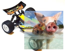 Dart XB Buggy 2.4GHz